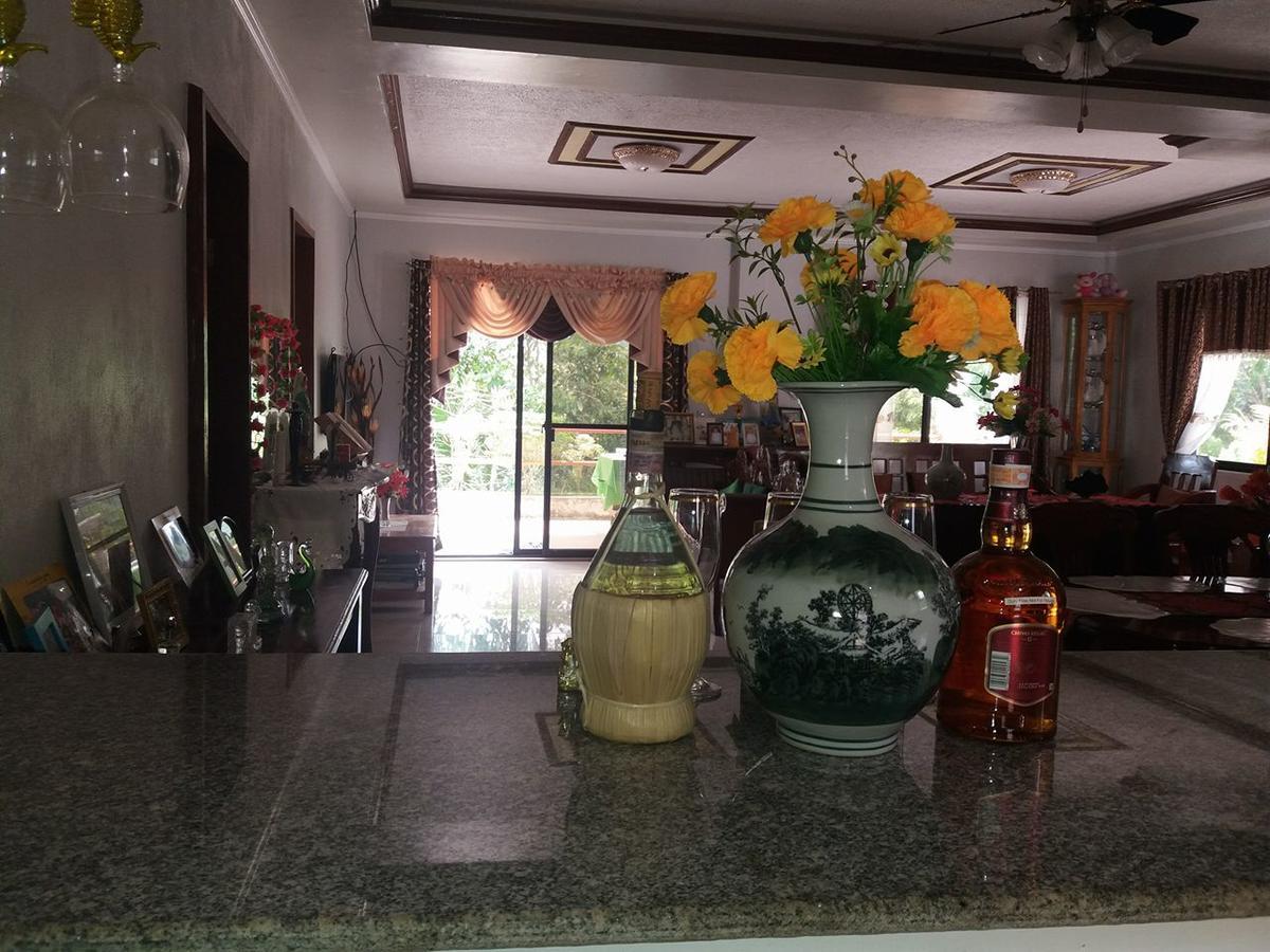 Villa Feliza Loboc Buitenkant foto